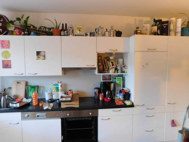 網路爆紅《史上最難的大家來找碴》能從圖片中找出貓咪嗎? 網路爆紅《史上最難的大家來找碴》能從圖片中找出貓咪嗎?