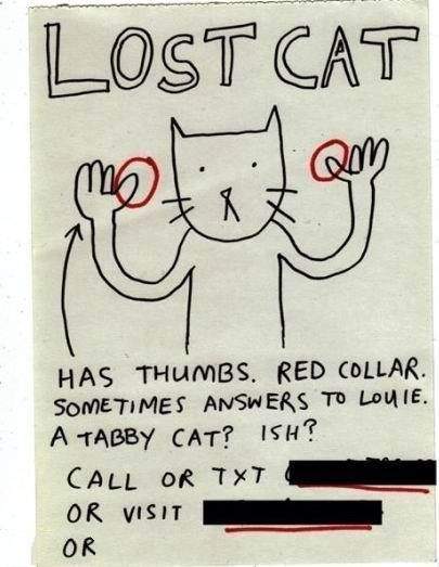 《超爆笑尋貓啟事》這畫風...你們是認真的想找到貓嗎?ww 《超爆笑尋貓啟事》這畫風...你們是認真的想找到貓嗎?ww