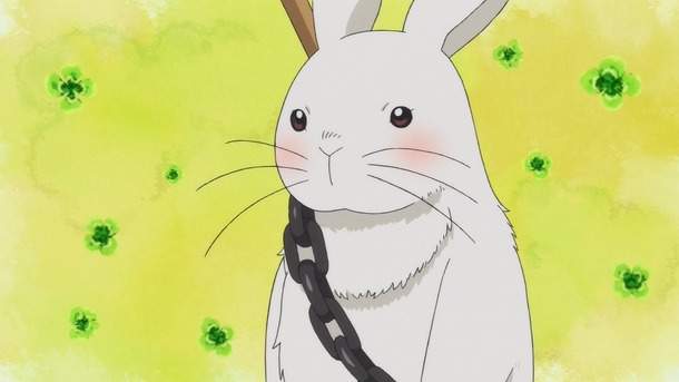 《養了兩年的兔子》最近才發現牠的真面目…… 《養了兩年的兔子》最近才發現牠的真面目……