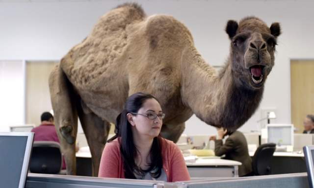 《一分鐘開心的十種方法》國外暢銷書作家分享提升情緒的小訣竅 《一分鐘開心的十種方法》國外暢銷書作家分享提升情緒的小訣竅