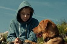 《忠犬追殺令》代表匈牙利角逐奧斯卡外語片