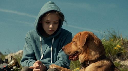 《忠犬追殺令》代表匈牙利角逐奧斯卡外語片