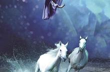 Cavalia《夢幻舞馬》大秀50匹駿馬與人共舞 明年一月登台