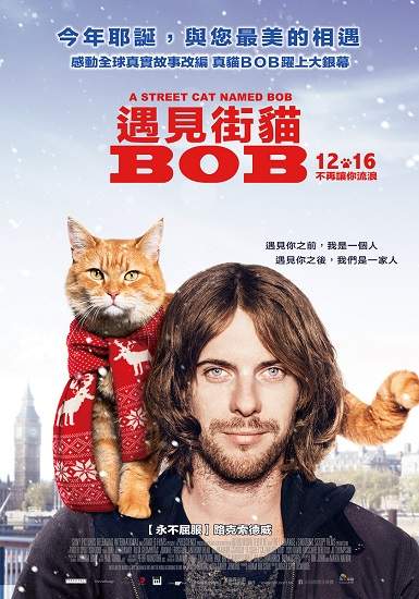 全球最紅街貓「BOB」本尊躍上大銀幕貓奴必看感人電影！