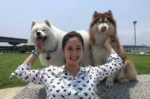 「愛遊台灣Follow Alana」全新第二季首播混血美女主持人Alana被70隻狗兒包圍 大呼「好開心！」