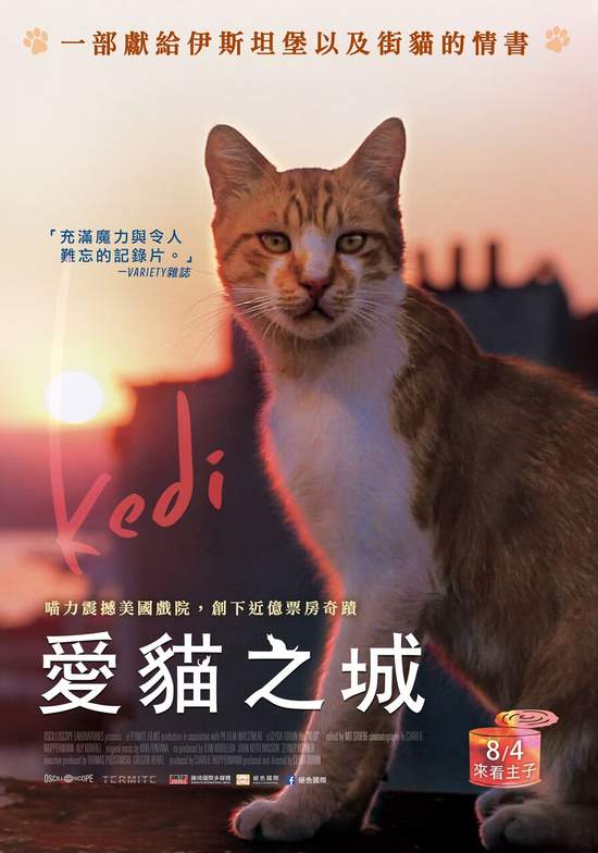 《愛貓之城》Kedi