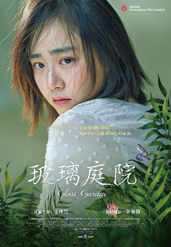 韓版《水底情深》改變文瑾瑩的三個男人《玻璃庭院》上演森林的黑色成人童話