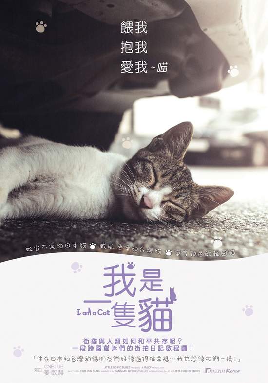 養了就是一輩子 讓世上不再有流浪動物  攜手台灣腎貓協會推出「線上公益電影院」《我是一隻貓》  用街貓視角敘說真實街貓故事 呼籲伴侶動物終養態度