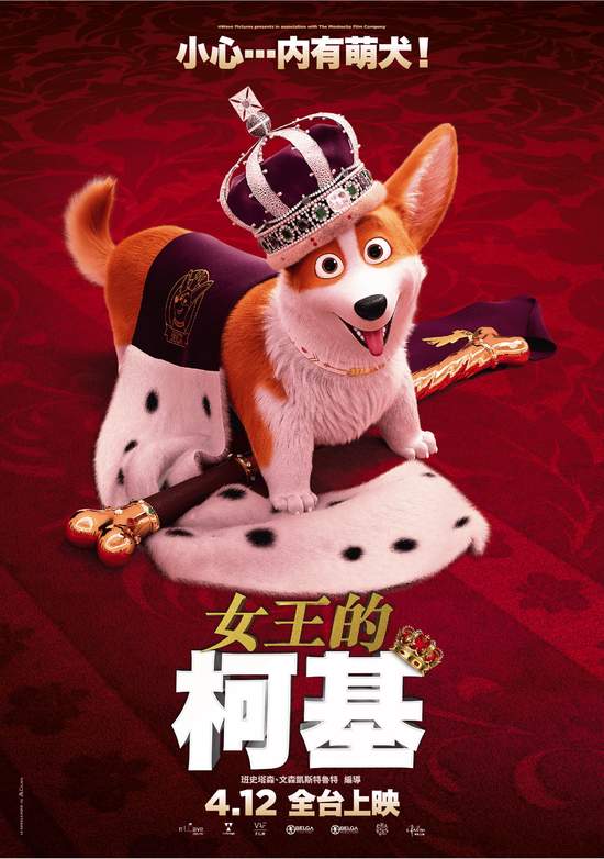 萌寵當道！不只有《驚奇隊長》的貓咪「呆頭鵝」 這隻超人氣皇室狗宣佈正式推出「真狗版」自傳電影！
