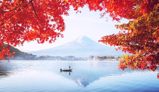 楓葉交織的秋天，來日本河口湖開著敞篷車望著富士山帥氣兜風！  金彩秋楓，開敞篷車環遊富士山賞楓