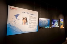 台灣潛水風潮興起 Canon提出友善海洋三大行動 攜手水下攝影師「潛」進海底世界共同守護海洋之美