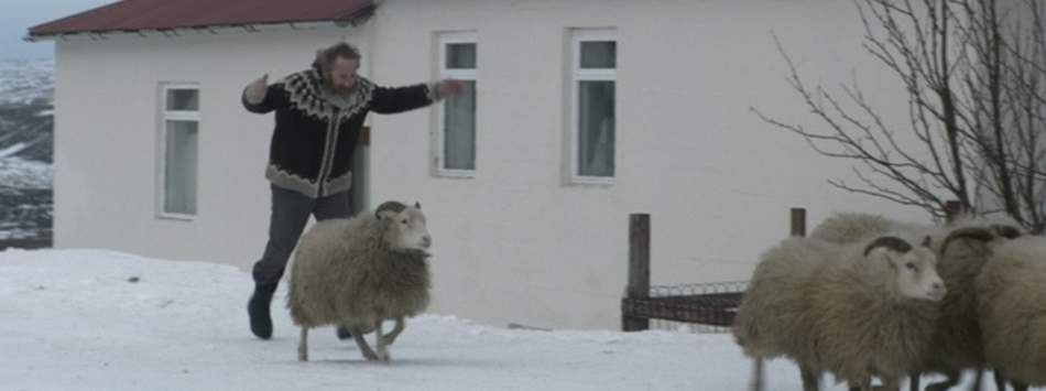 羊男的冰島冒險