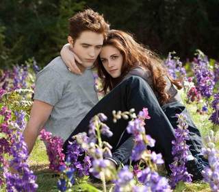 暮光之城：破曉Ⅱ The Twilight Saga: Breaking Dawn - Part 2 - 電影