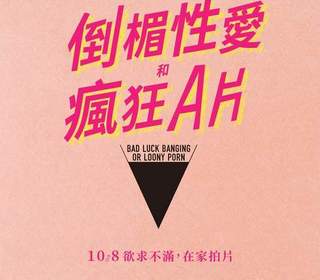 倒楣性愛和瘋狂A片Bad Luck Banging or Loony Porn - 電影