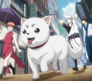 銀魂the Final Gintama The Final 電影 銀魂the Final Gintama The Final 電影