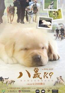 八歲
