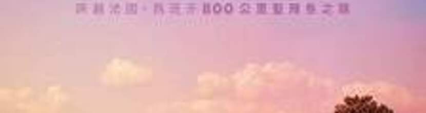 我的朝聖之路