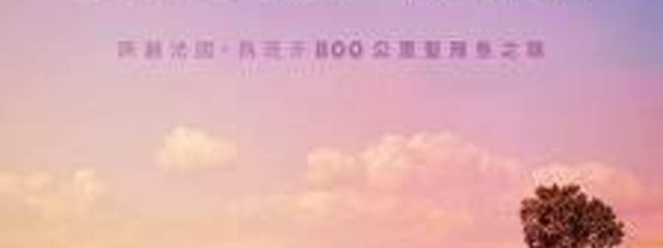 我的朝聖之路