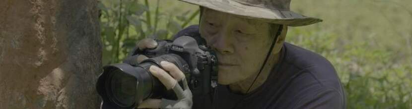 我在荒野做了一場夢