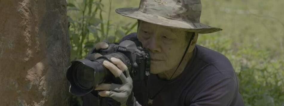 我在荒野做了一場夢