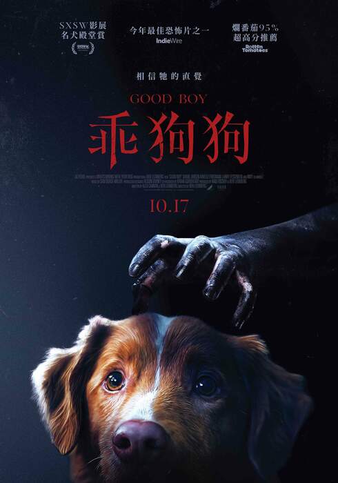 乖狗狗（１０８０Ｐ）上映日期：2025-10-17