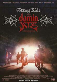 STRAY KIDS: THE DOMINATE EXPERIENCE