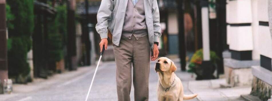 再見了，可魯：數位經典重映