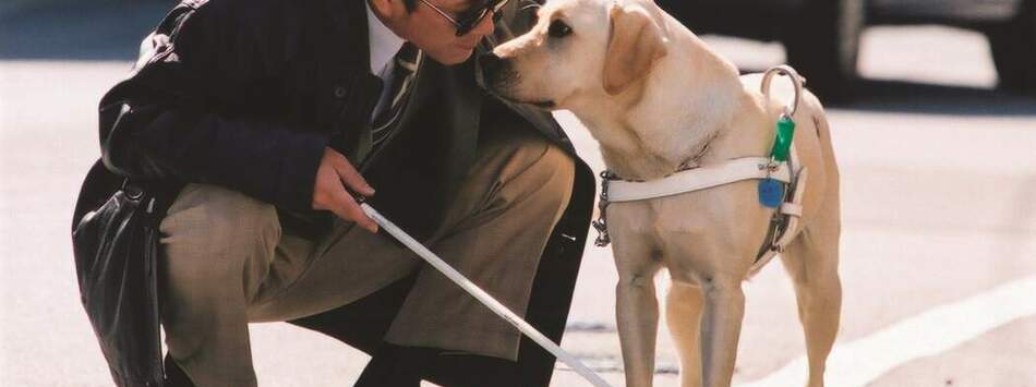 再見了，可魯：數位經典重映