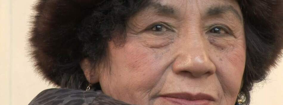 傳奇女伶 高菊花