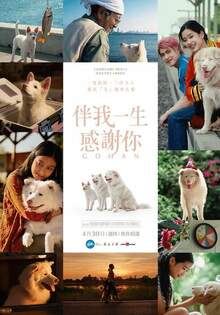 伴我一生，感謝你