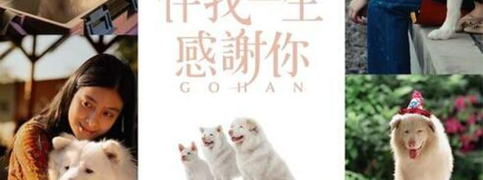 伴我一生，感謝你