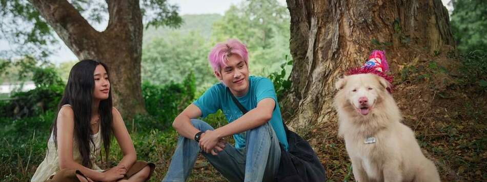 伴我一生，感謝你