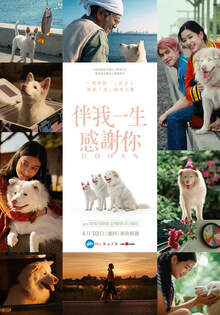 伴我一生，感謝你