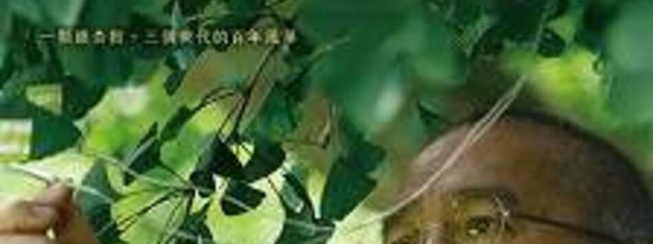 你是不會當樹嗎