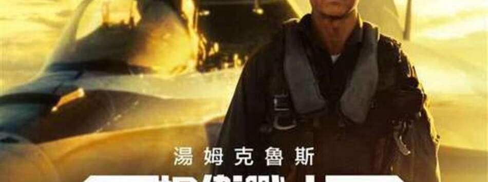 捍衛戰士:獨行俠