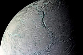 土星生物化石發現?! 土星生物化石發現?!