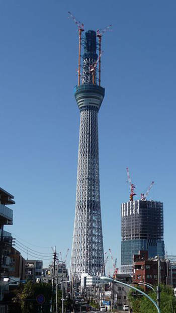 東京晴空塔 傑克把種子忘在日本了 - 圖片2 東京晴空塔 傑克把種子忘在日本了 - 圖片2