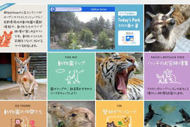 24小時不打烊~隨時都能線上逛動物園喔~ 24小時不打烊~隨時都能線上逛動物園喔~