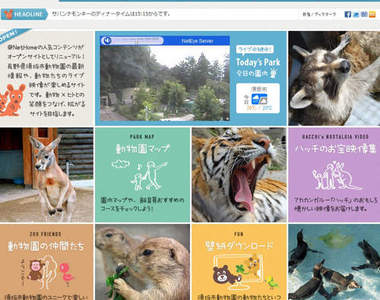 24小時不打烊~隨時都能線上逛動物園喔~ 24小時不打烊~隨時都能線上逛動物園喔~