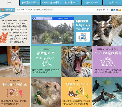 24小時不打烊~隨時都能線上逛動物園喔~ 24小時不打烊~隨時都能線上逛動物園喔~