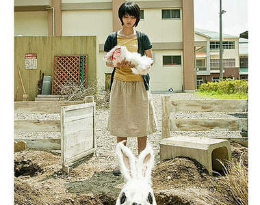 可愛兔兔帶你前往恐怖國度《RABBIT HORROR 3D》 可愛兔兔帶你前往恐怖國度《RABBIT HORROR 3D》