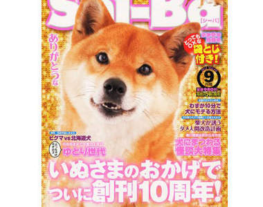 寵物雜誌卻出現龜甲縛?!這也算是愛動物的一種嗎? 寵物雜誌卻出現龜甲縛?!這也算是愛動物的一種嗎?