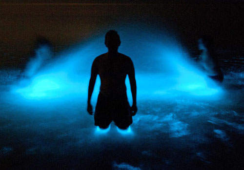 澳洲藍光湖 納美人的誕生地？