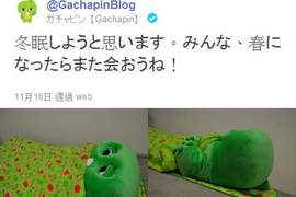 《Gachapin冬眠宣言》是說恐龍需要冬眠嗎?... 《Gachapin冬眠宣言》是說恐龍需要冬眠嗎?...