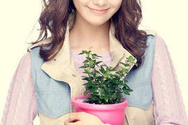 2012《女星片酬排行榜》~真是貴桑桑啊^艸^ 2012《女星片酬排行榜》~真是貴桑桑啊^艸^