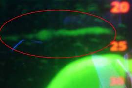 《尼斯湖水怪》再現蹤跡?尼斯湖觀光船探到不明生物 《尼斯湖水怪》再現蹤跡?尼斯湖觀光船探到不明生物
