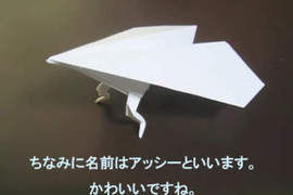 《長腳紙飛機》一不小心就會變成犬神家一族wwwwww 《長腳紙飛機》一不小心就會變成犬神家一族wwwwww