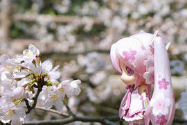 櫻花初音 全身都PINK☆閃亮登場 櫻花初音 全身都PINK☆閃亮登場
