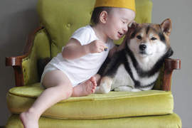 柴犬Maru與小BABY一茶的共同生活~♥ 柴犬Maru與小BABY一茶的共同生活~♥