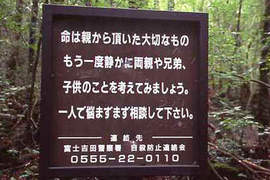 自殺聖地富士山樹海 以後將可能推行相關旅遊計畫? 自殺聖地富士山樹海 以後將可能推行相關旅遊計畫?